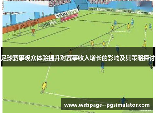 足球赛事观众体验提升对赛事收入增长的影响及其策略探讨