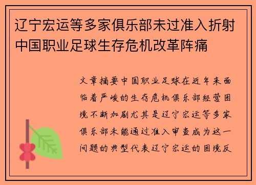辽宁宏运等多家俱乐部未过准入折射中国职业足球生存危机改革阵痛 辽宁宏运等多家俱乐部未过准入折射中国职业足球生存危机改革阵痛